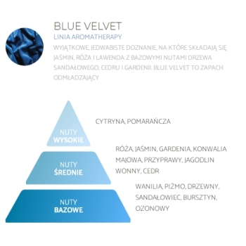 Blue velvet piramida przedstawiająca nuty zapachowe